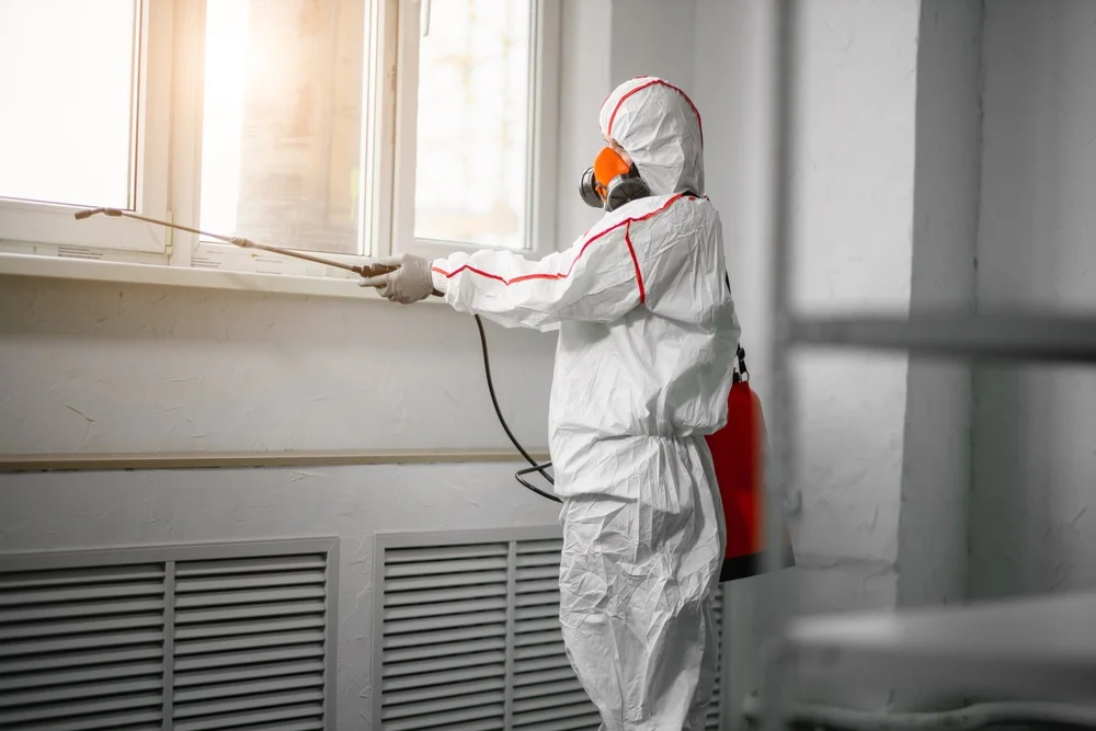 Professional mold remediation services in Fruita, CO